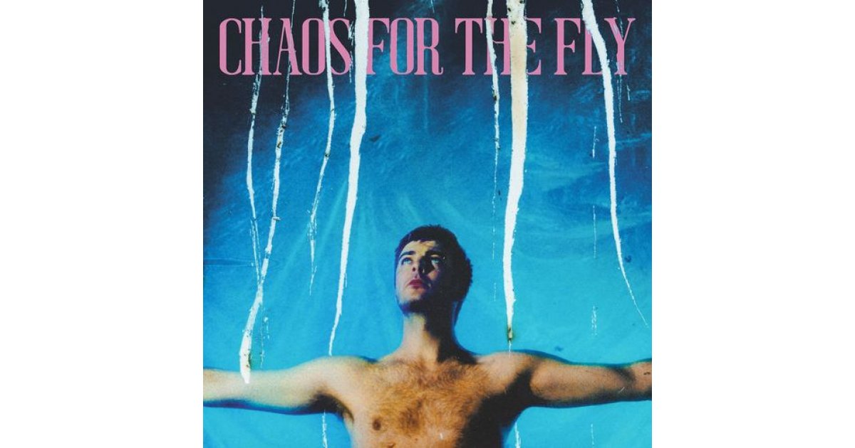Chaos For The Fly - White Vinyl, Grian Chatten – LP – Music Mania