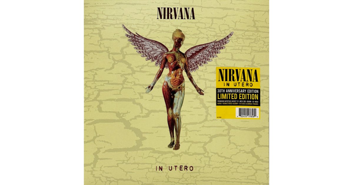 In Utero - 30th Anniversary edition, Nirvana – LP, 10