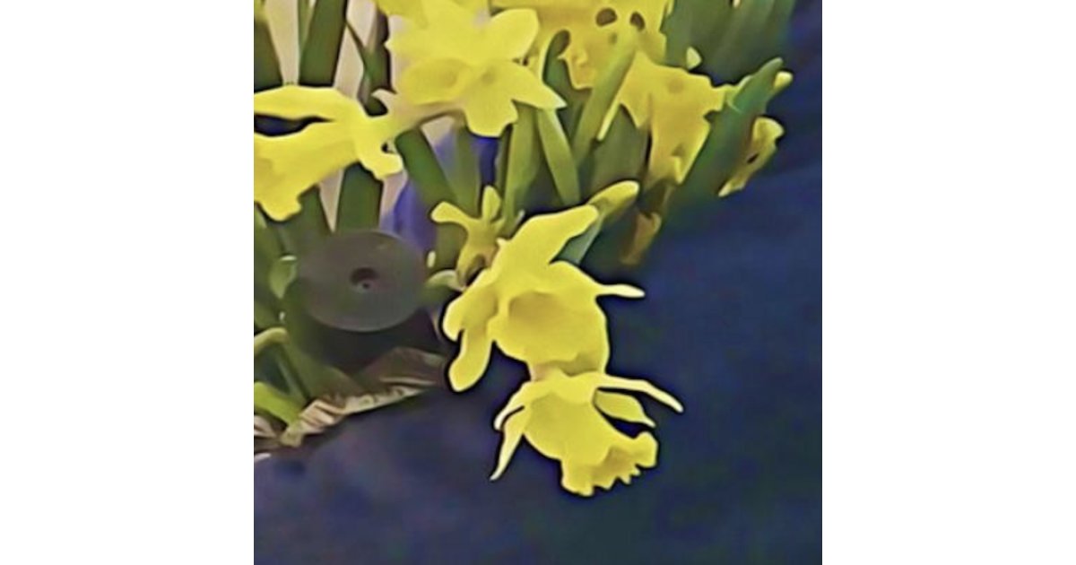 lucre LP, Dean Blunt – LP – Music Mania Records – Ghent