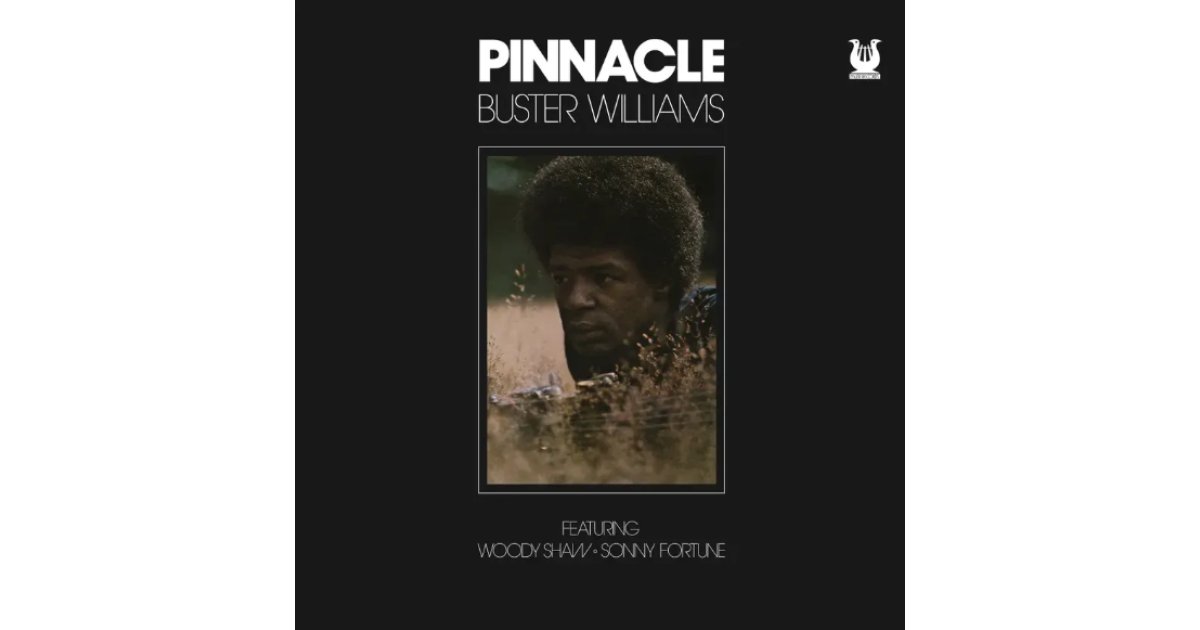 洋楽 Buster Williams / Pinnacle (LP) BUSTER WILLIAMS / PINNACLE – TICRO MARKET