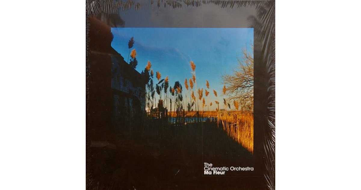The cinematic orchestra to build a home