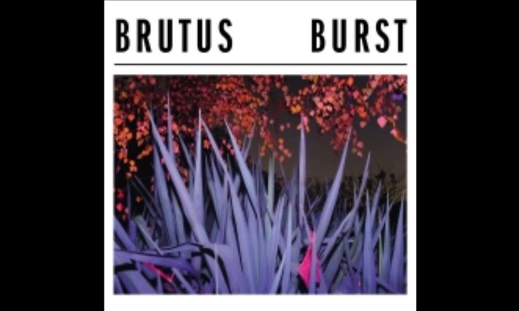 Brutus   Drive