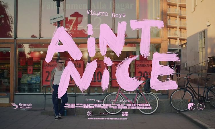 Viagra Boys — Ain't Nice