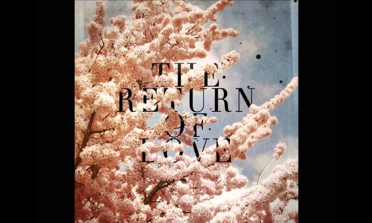 Woolfy vs Projections - Cherry Blossoms