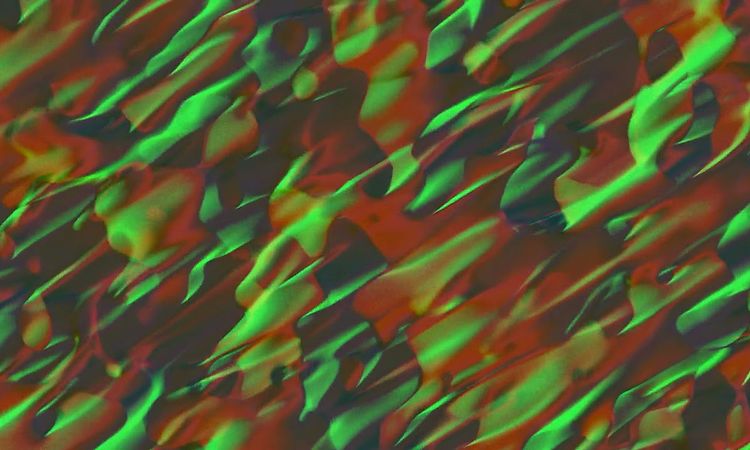 Sufjan Stevens - Meditation X - Convocations [Official Audio and Visual]