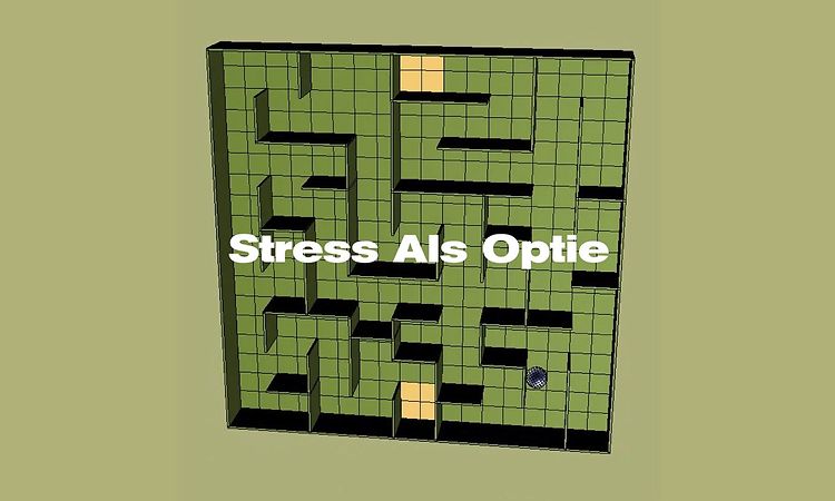 De Beren Gieren — Stress Als Optie