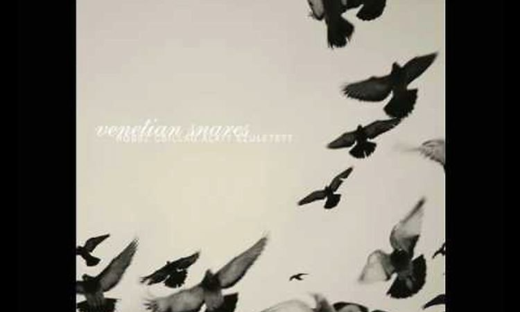 Venetian Snares - Szamar madar
