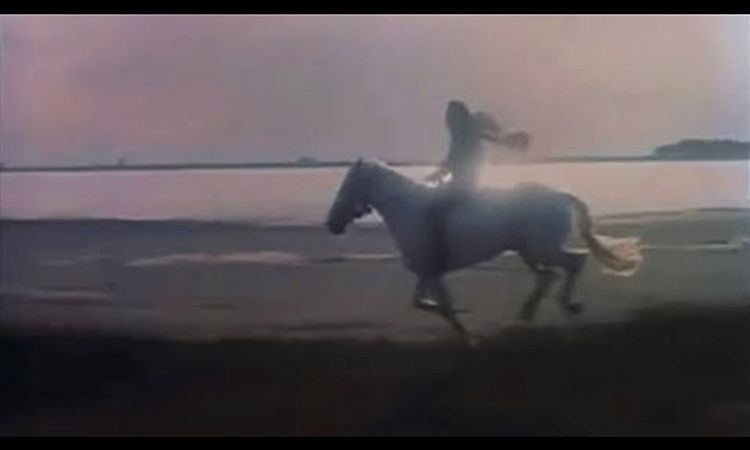 Lana Del Rey - Wild At Heart