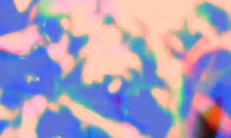 Four Tet-Hands