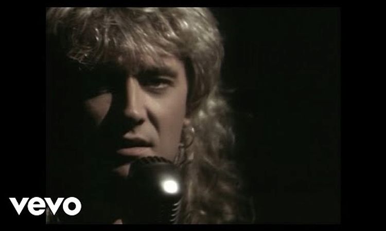 Def Leppard - Have You Ever Needed Someone So Bad?