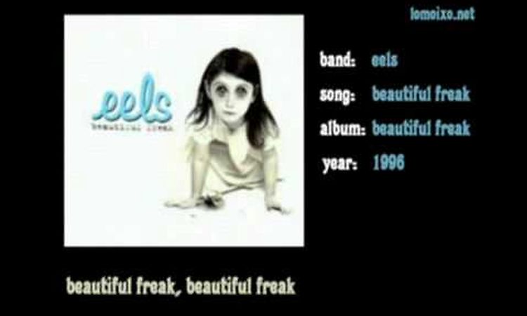 eels - beautiful freak