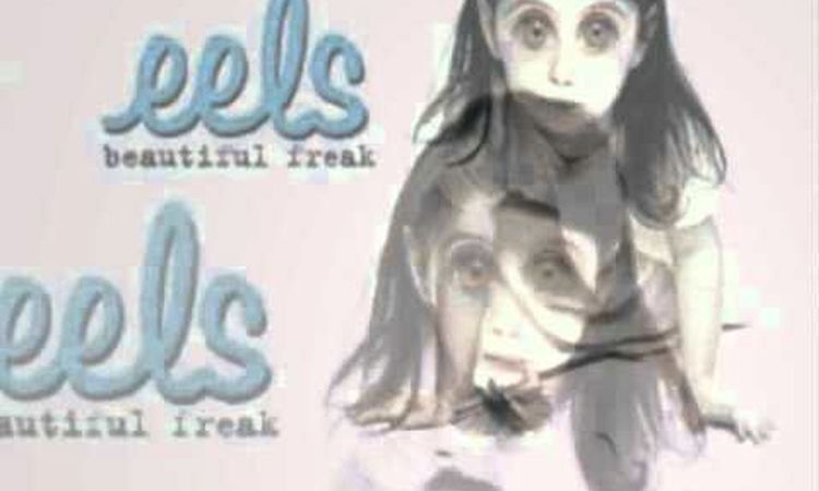 Eels - Flower