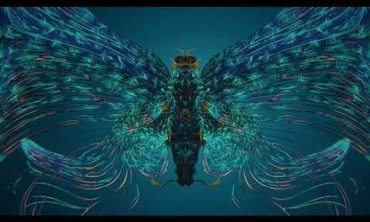 Ludovico Einaudi - Fly (Reimagined by Mercan Dede and Dexter Crowe) [Video Remix]