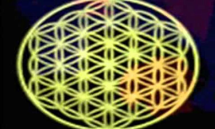 FUTURE SOUND OF LONDON  - PRIVATE PSYCHE AND INNER LIFE