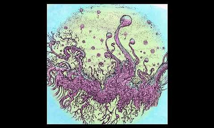 Gesloten Cirkel - Balls