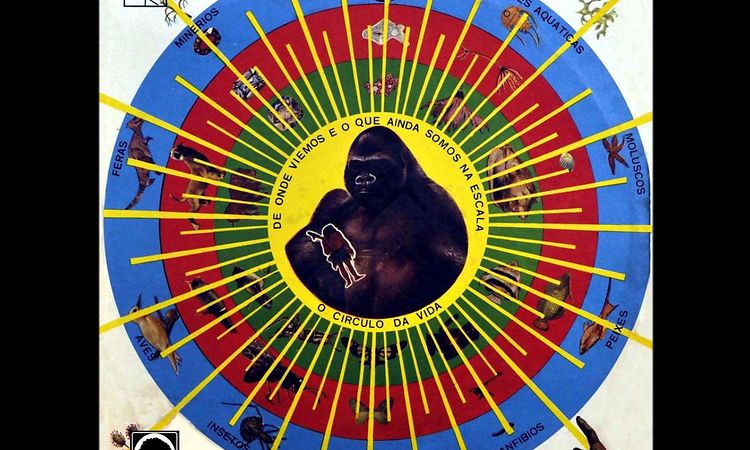 Pedro Santos - Sem Sombra
