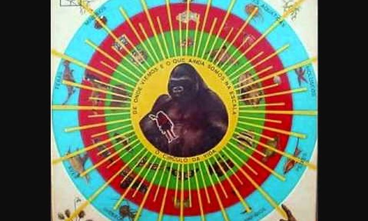 Pedro Santos - Desengano da Vista