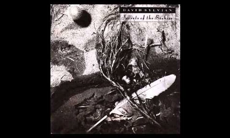 David Sylvian Waterfront