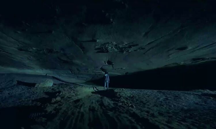 Nell & The Flaming Lips - We Know Who You Are (Official Video)