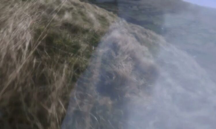 Maria Somerville - Trip (Official Visualiser)