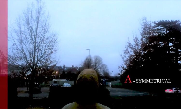 Rozi Plain - Symmetrical (Lyric Video)