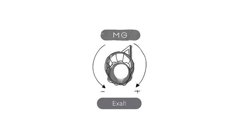 MG - Exalt