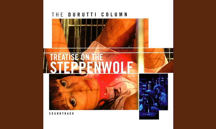 A Wolf of the Steppes