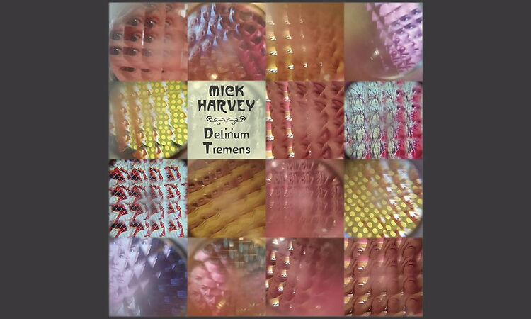 Mick Harvey - A Violent Poison (That's What Love Is) (Official Audio)