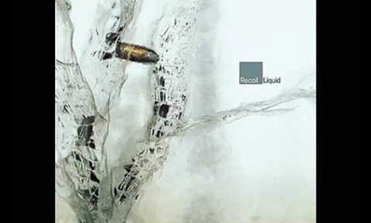 Recoil - Want