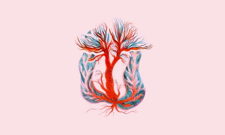 NOAH VANDEN ABEELE - Phoenix (Official Audio)