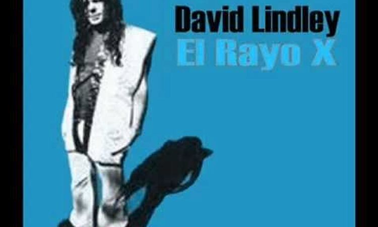 David Lindley - El Rayo-X