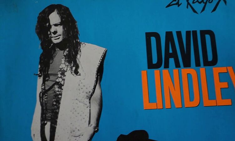 David Lindley ??  - Mercury Blues -Vinyl El Rayo X LP Germany ?? 1981