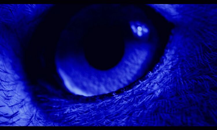 Ben Frost - All That You Love Will Be Eviscerated (Official Video)