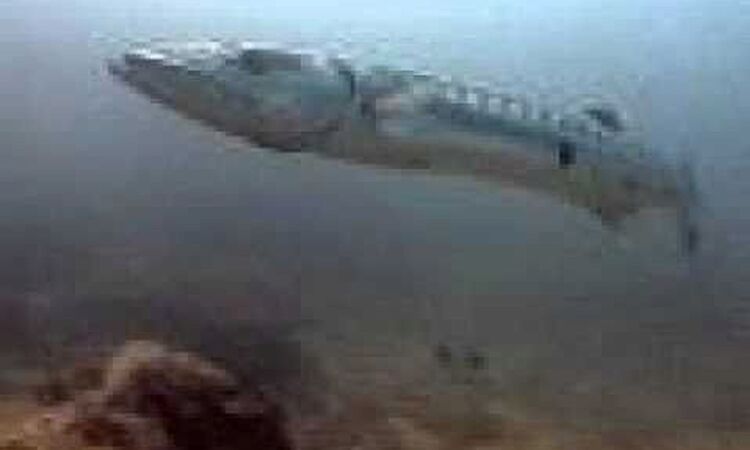 Giant Sand-Solomon's ride