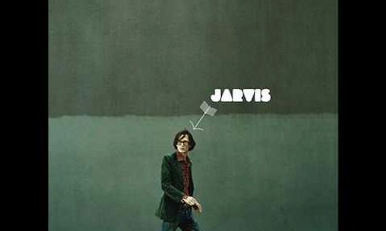 Jarvis Cocker  -  "Heavy Weather"