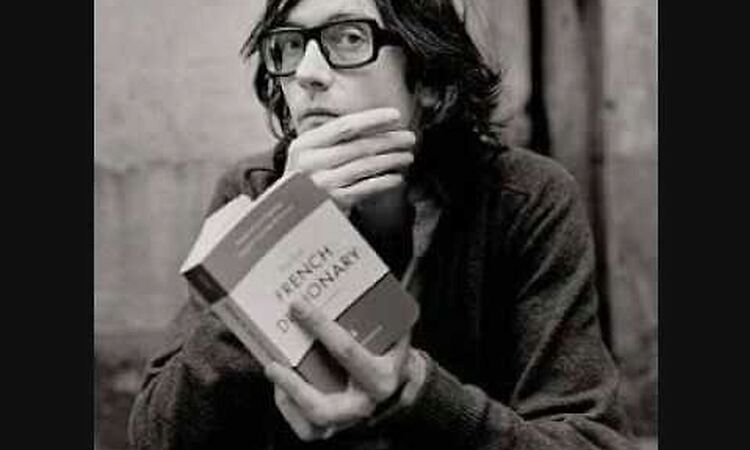 I Never Said I Was Deep - Jarvis Cocker