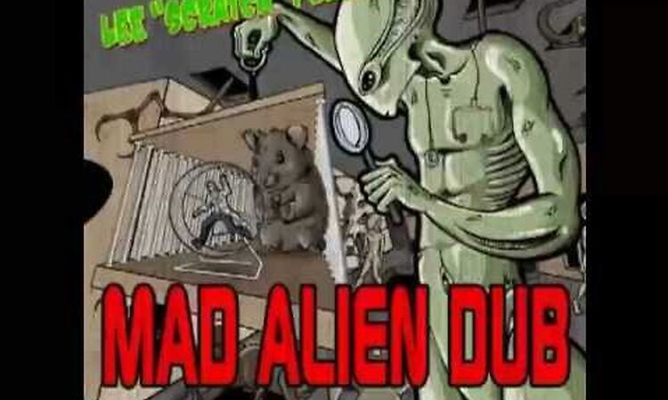 Lee perry - Dub the rhythm