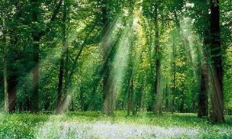 Daniel Wang - unhouse