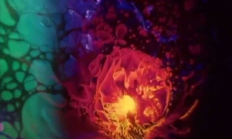 Brave Black Sea -  The Five Visitors (Official Lyric Video)