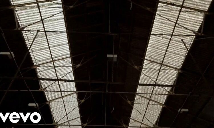 Chase & Status - Say The Word (Visualiser) ft. Clementine Douglas