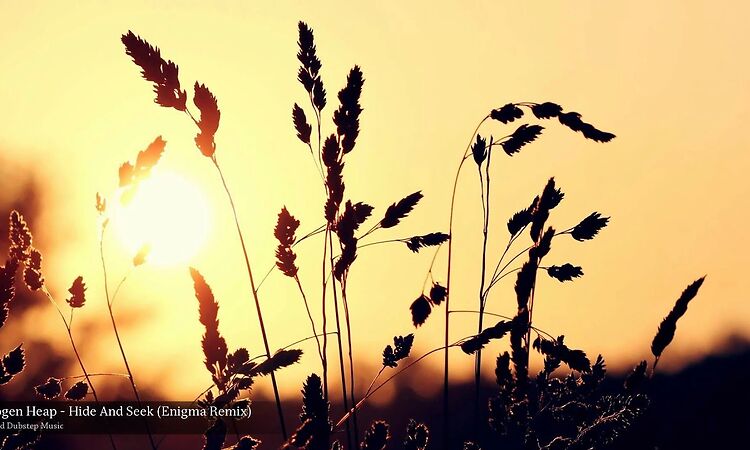 Imogen Heap - Hide and Seek (ENiGMA Dubz Remix)