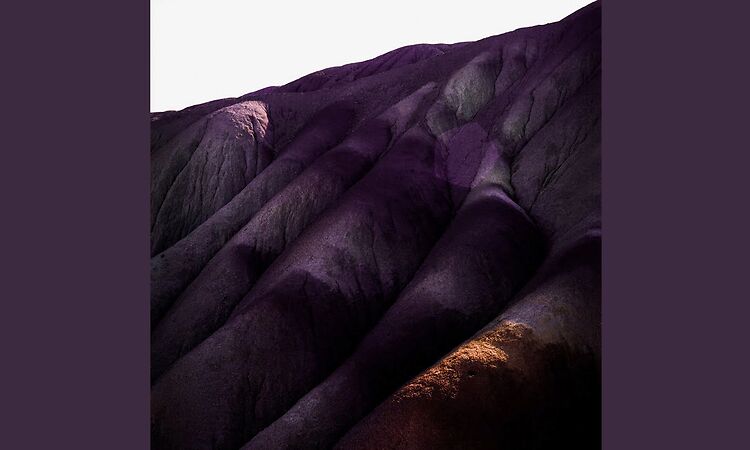 [I Leave You] Wounded