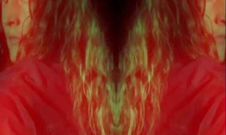 Planningtorock  'Transome'