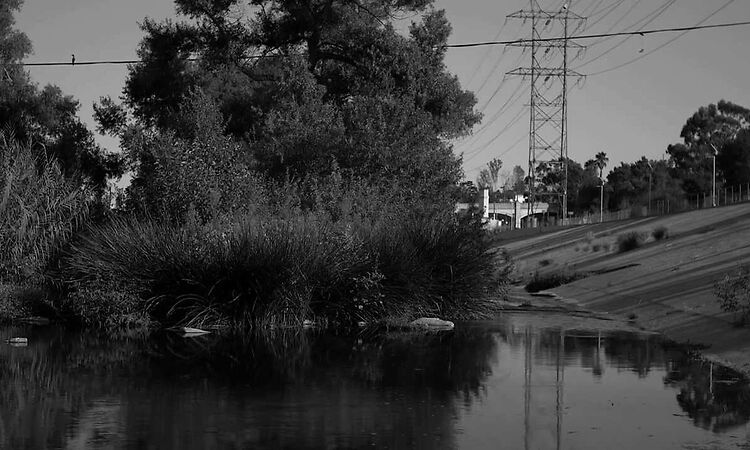 Cold War Kids - Bitter Poem