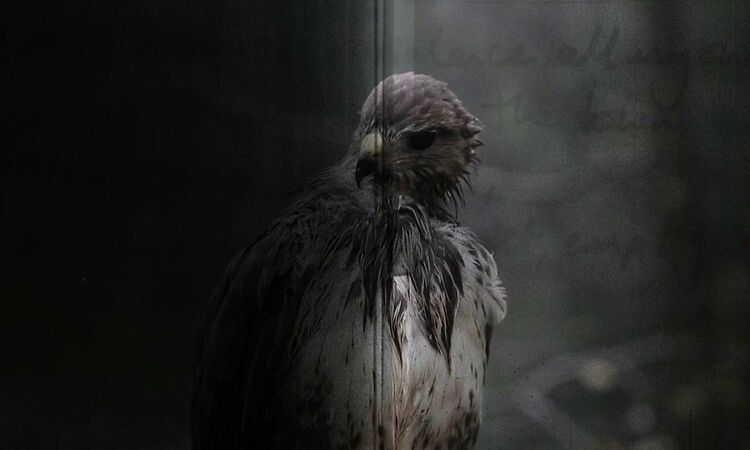 Will Burns & Hannah Peel - Change