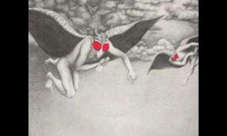 Mothmen-does it matter Irene.wmv