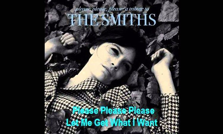 William Fitzsimmons ~ Please Please Please Let Me Get What I Want