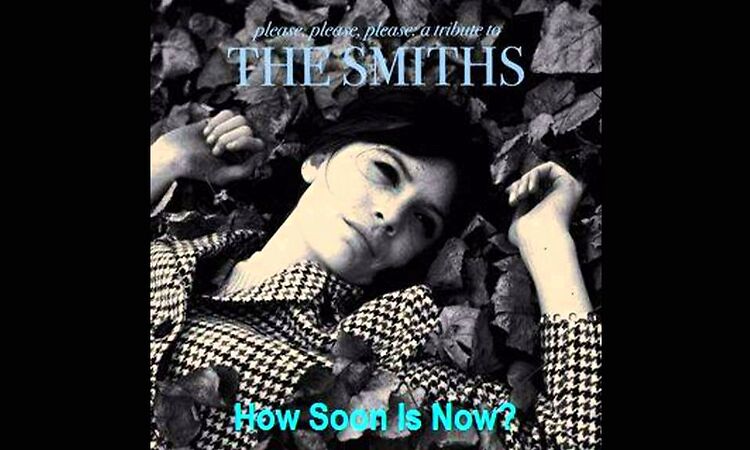 Mike Viola And The Section Quartet ~ How Soon Is Now?