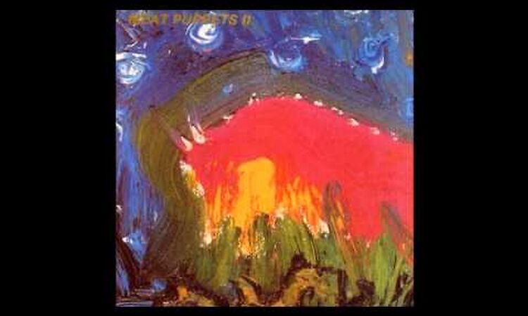 Meat Puppets - Meat Puppets II (1984) [Full Album]