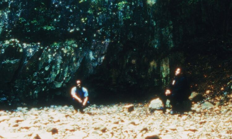 Armand Hammer & The Alchemist  - Calypso Gene feat. Silka & Cleo Reed (Official Video)